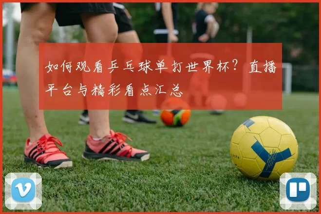 如何观看乒乓球单打世界杯？直播平台与精彩看点汇总