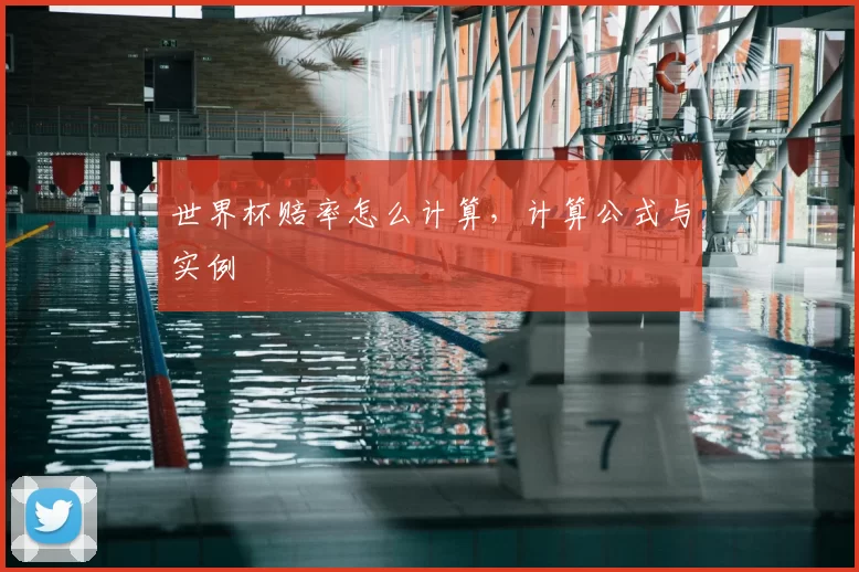 世界杯赔率怎么计算,计算公式与实例