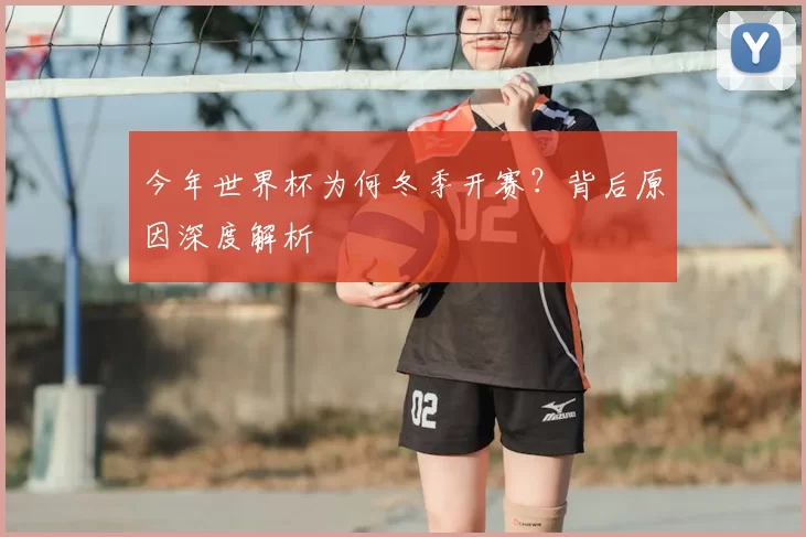 今年世界杯为何冬季开赛？背后原因深度解析