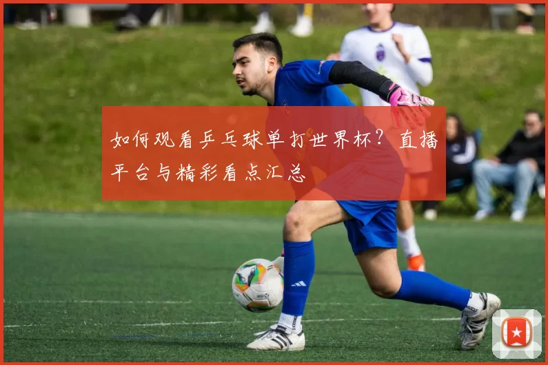 如何观看乒乓球单打世界杯？直播平台与精彩看点汇总