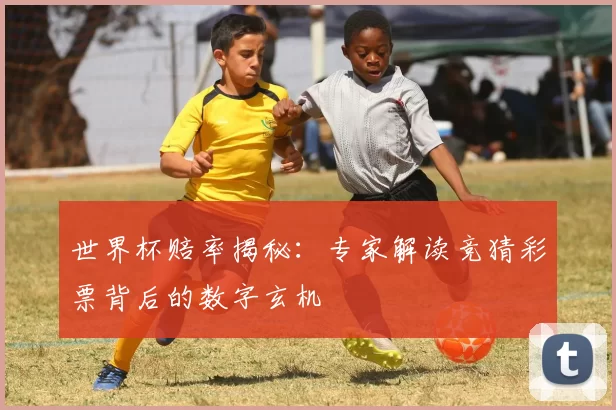 世界杯赔率揭秘:专家解读竞猜彩票背后的数字玄机