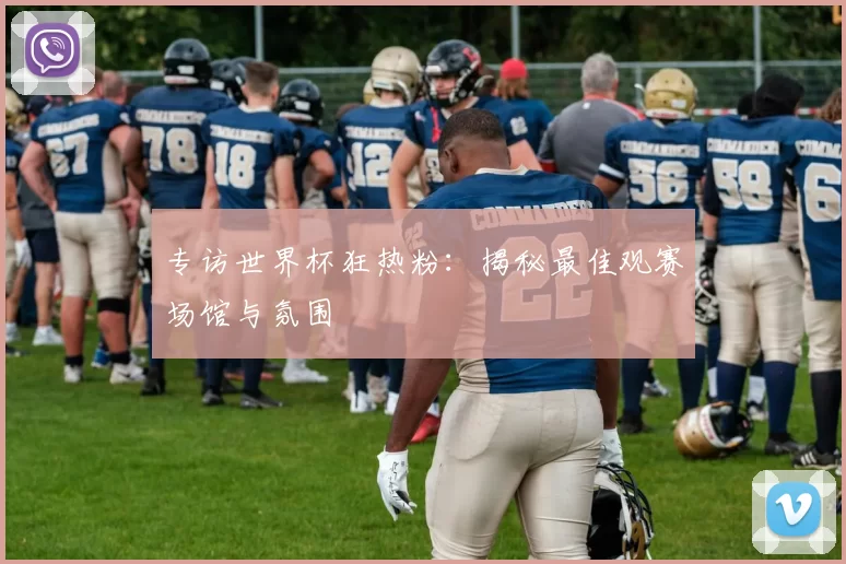 专访世界杯狂热粉:揭秘最佳观赛场馆与氛围