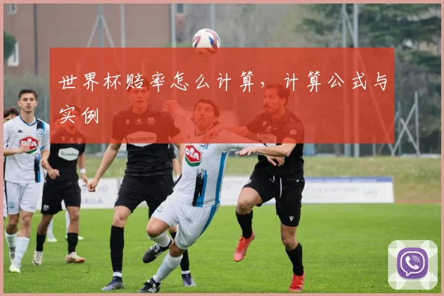 世界杯赔率怎么计算,计算公式与实例
