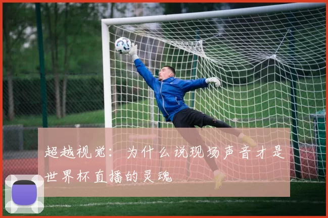 超越视觉：为什么说现场声音才是世界杯直播的灵魂