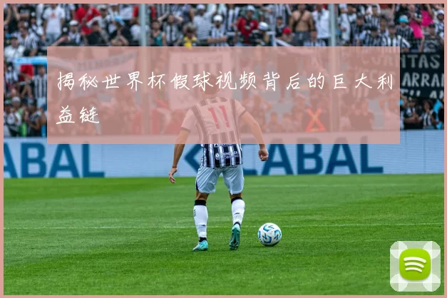 揭秘世界杯假球视频背后的巨大利益链