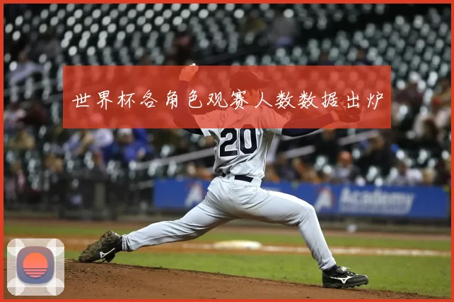 世界杯各角色观赛人数数据出炉