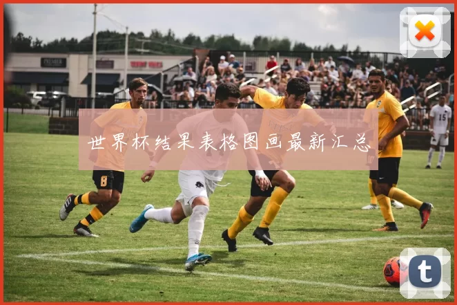 世界杯结果表格图画最新汇总