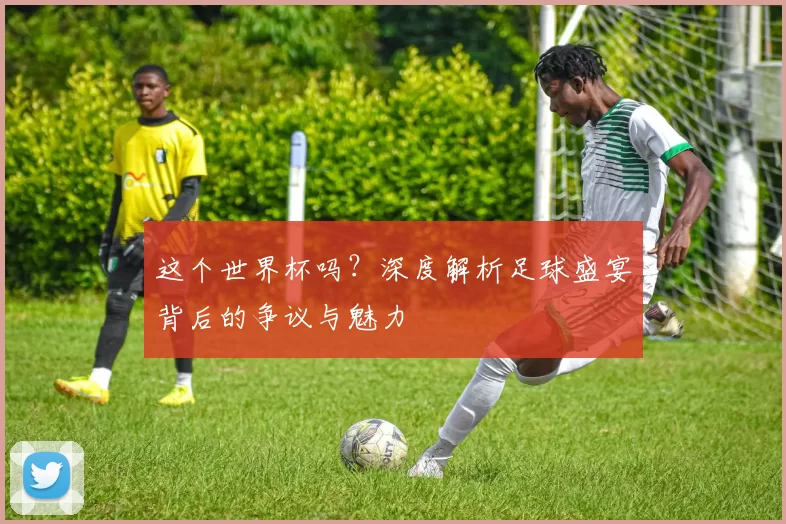 这个世界杯吗?深度解析足球盛宴背后的争议与魅力