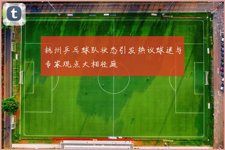 杭州乒乓球队状态引发热议球迷与专家观点大相径庭