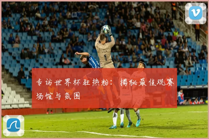 专访世界杯狂热粉:揭秘最佳观赛场馆与氛围