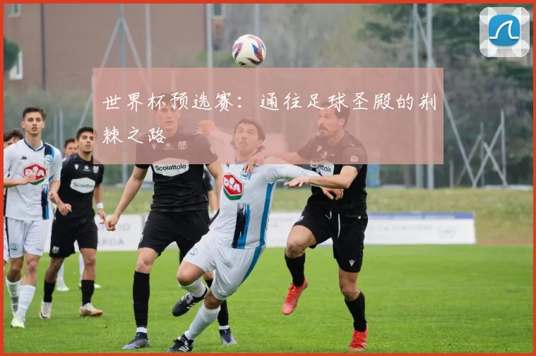 世界杯预选赛:通往足球圣殿的荆棘之路
