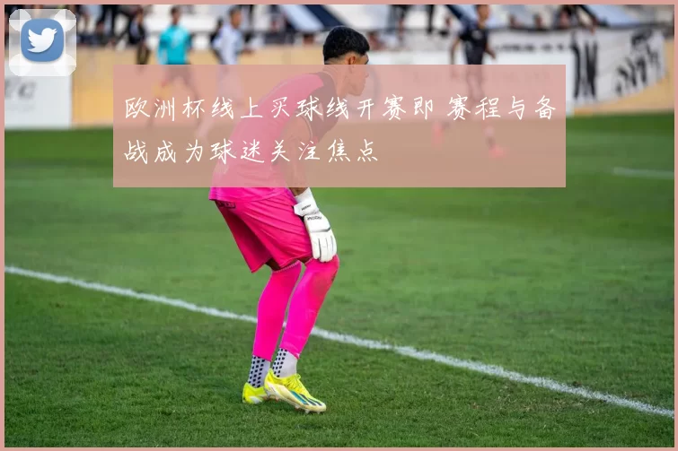 欧洲杯线上买球线开赛即 赛程与备战成为球迷关注焦点