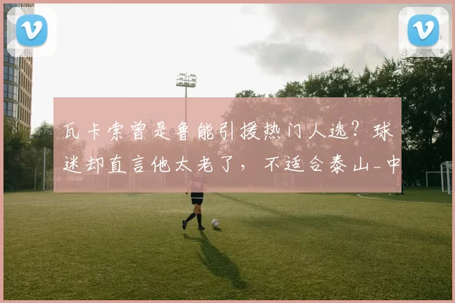 瓦卡索曾是鲁能引援热门人选?球迷却直言他太老了,不适合泰山_中超_莫伊塞斯_韩鹏和
