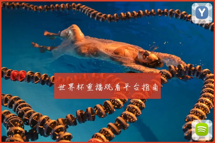 世界杯重播观看平台指南